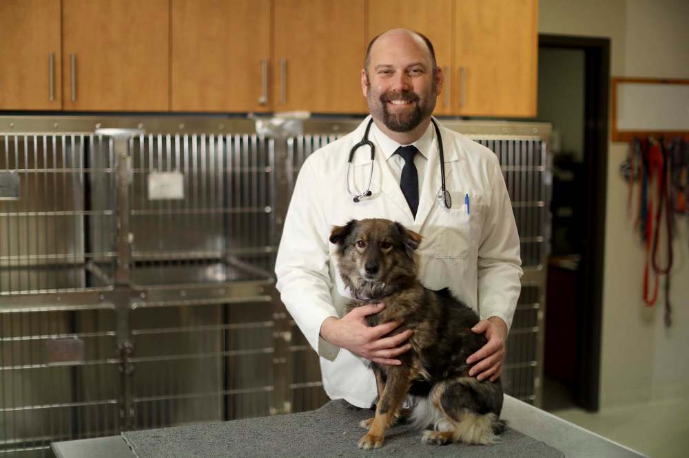 TREVOR HAGAN / WINNIPEG FREE PRESS
Veterinarian Jonas Watson — seen with rescue dog Karma, a five-year-old he saved from the meat trade in Thailand — recently received the Animal Welfare Award from the World Veterinary Association.