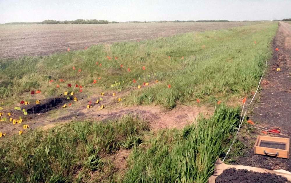 Court photos of the evidence markers and a hole where Christine Wood's remains were found near a farm road. (Supplied)
