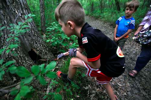 PHIL HOSSACK / WINNIPEG FREE PRESS
Grayson Kroeker, 10, probes inside a potential rock hideout.