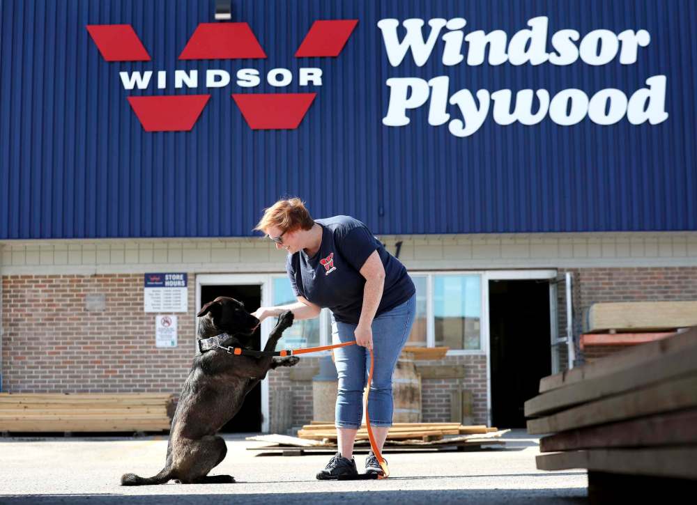 RUTH BONNEVILLE / WINNIPEG FREE PRESS
Windsor Plywood manager and owner Melissa Johner and her lab cross rescue dog Castiel.