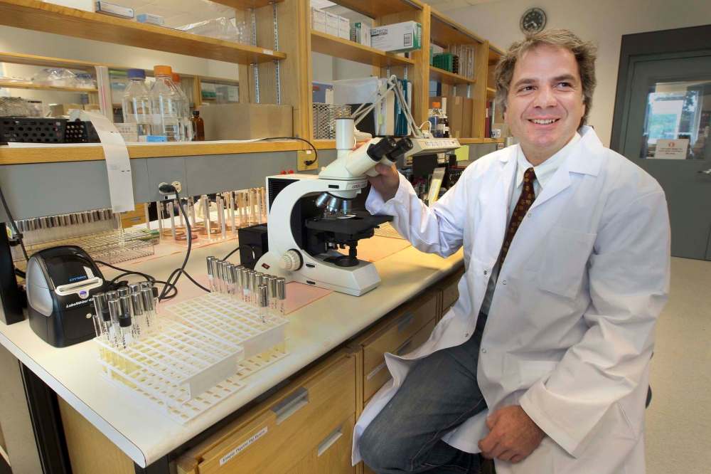 JOE BRYKSA / FREE PRESS FILES
Gary Kobinger, a researcher who was instrumental in developing the Ebola vaccine, encountered a tension in the lab between its original purpose — diagnostics and forensics tests — and scientists’ secondary role in researching pathogens.