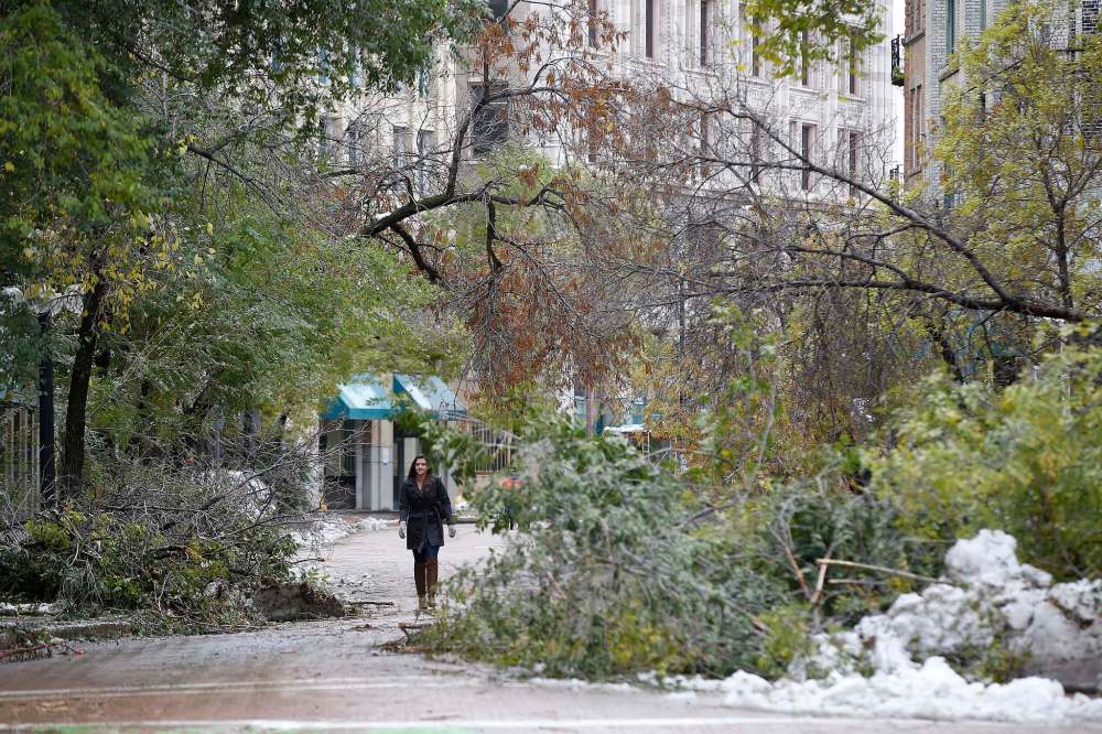 Winnipeg city council will formally request the provincial and federal governments help offset the costs associated with clearning up from last week's storm. (John Woods / Winnipeg Free Press)