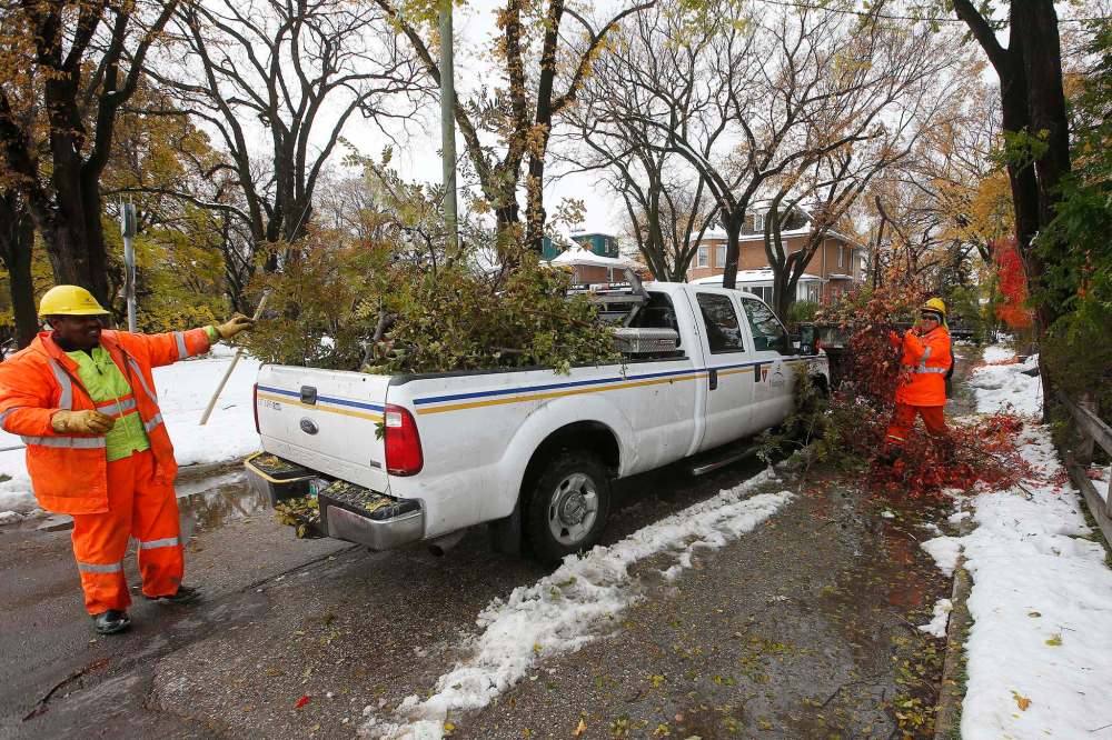More than 30,000 trees on public land have been damaged, with estimates of thousands more on private land. (John Woods / Winnipeg Free Press)