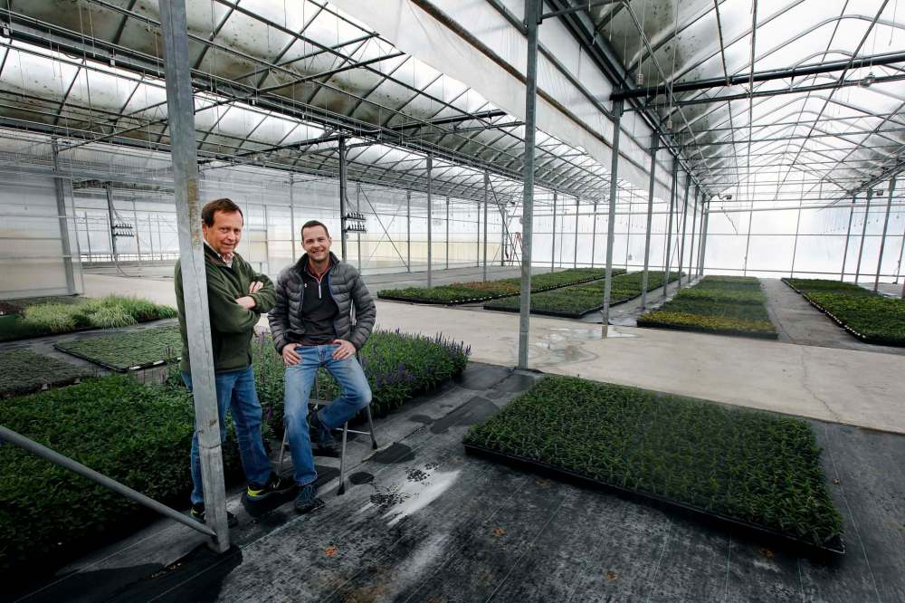 Dave Vanstone, who owned Vanstone Nurseries north of Portage before his son, Owen, took it over, said if the power had to go out for days, early October is a good time for the nursery.