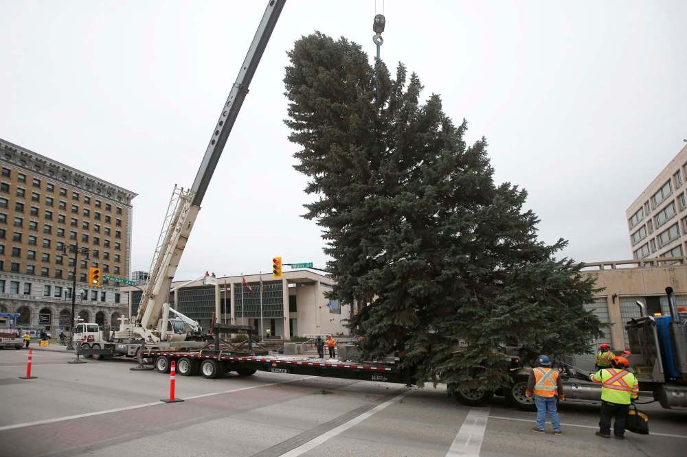 For 55 years, Winnipeggers have been donating a large Christmas tree to the city, which is decorated and put up outside of city hall each holiday season. (John Woods / Winnipeg Free Press files)