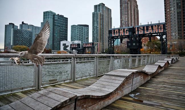 FILE - In this Nov. 13, 2018, file photo, a sea gull flies off holding fish scraps near a former dock facility, with