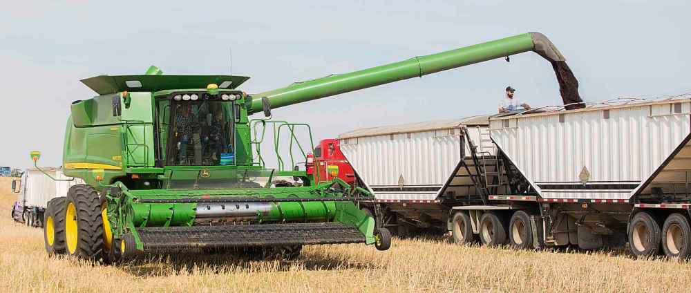 Canola is the largest field crop grown in Manitoba, with exports of canola seed and products generating $1.7 billion for the provincial economy in 2017. (Chelsea Kemp / Brandon Sun files)