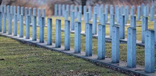 The veterans area at Brookside Cemetary, Saturday, November 8, 2014. (TREVOR HAGAN/WINNIPEG FREE PRESS)