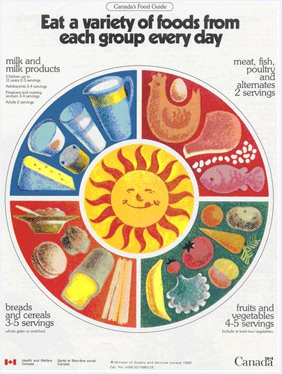 This new guide was directly influenced by a report on Diet and Cardiovascular disease. The four food groups remained the same. However, the name of the meat group was changed to Meat, Fish, Poultry and Alternates. While the emphasis on the