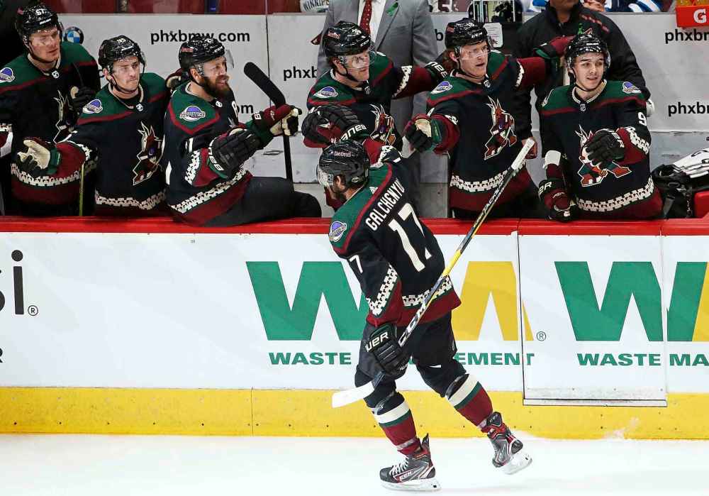 Arizona Coyotes center Alex Galchenyuk (17) celebrates his goal against the Winnipeg Jets during the first period of an NHL hockey game Saturday, April 6, 2019, in Glendale, Ariz. (AP Photo/Ross D. Franklin)