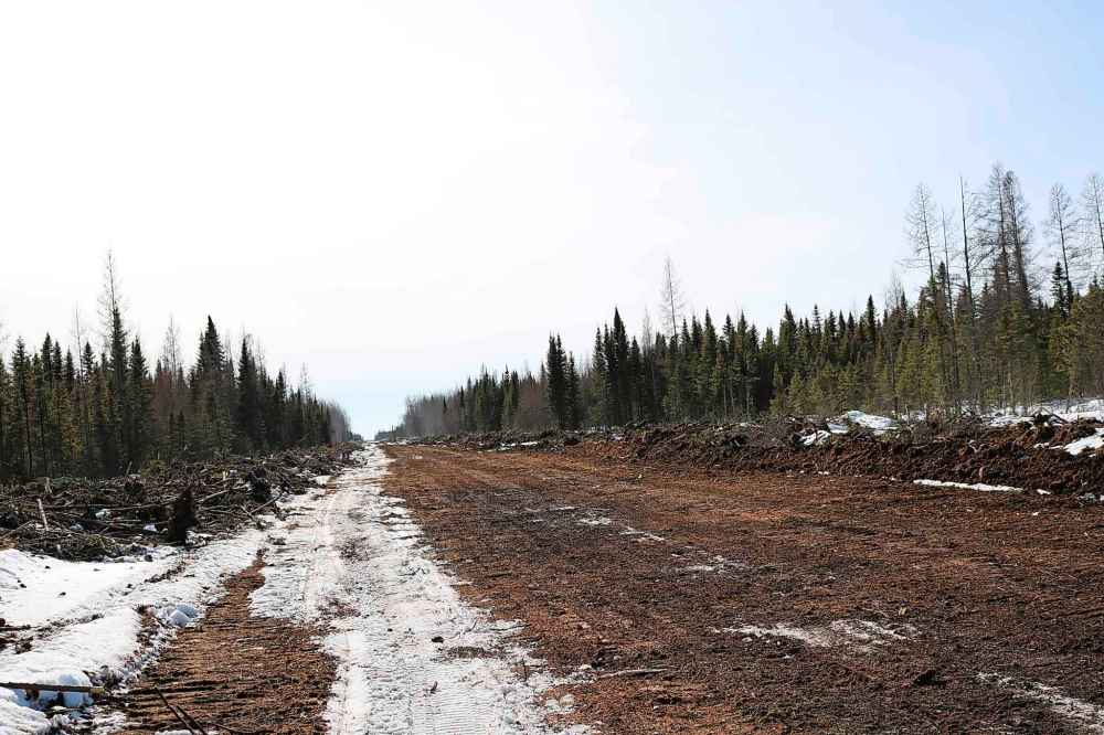 SUPPLIED
Interlake Reserves Tribal Council photos showing vegetation-cutting at the site of the Lake St. Martin and Lake Manitoba flood outlet channels in April 2019.