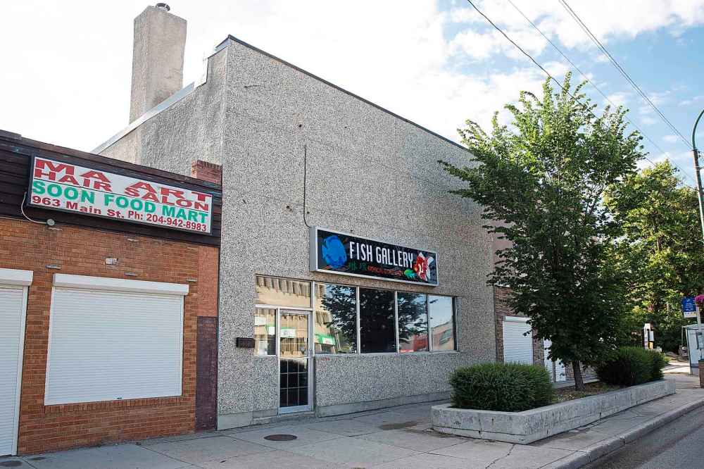 The Fish Gallery at 959 Main Street was the former site of the Times Theatre. (Mike Deal / Winnipeg Free Press)