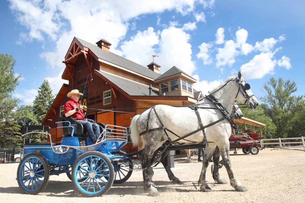 JOE BRYKSA / FREE PRESS FILES
High-touch activities such as wagon rides, interpretive exhibits, play structures, and the zoo tram won’t be running.
