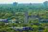 MIKAELA MACKENZIE / WINNIPEG FREE PRESS

The tree canopy and Westminster United Church, as seen from the Woodsworth Building, in Winnipeg on Wednesday, Aug. 19, 2020. For Gabrielle Piche story.
Winnipeg Free Press 2020.