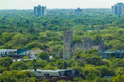 MIKAELA MACKENZIE / WINNIPEG FREE PRESS

The tree canopy and Westminster United Church, as seen from the Woodsworth Building, in Winnipeg on Wednesday, Aug. 19, 2020. For Gabrielle Piche story.
Winnipeg Free Press 2020.