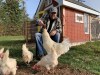 Canadian folk singer-songwriter Dave Gunning, shown on his Lyons Brook, N.S., property on Oct. 23, 2020, ran into the chicken wire shortage when he decided to raise laying hens after most of his concerts were cancelled for 2020 due to COVID-19. He ended up buying a different type of galvanized steel wire called hardware cloth, which he says has helped fend off racoons and foxes on his rural property. THE CANADIAN PRESS/HO