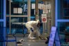 A forensics police officer collects evidence inside the Lynn Valley Library, in North Vancouver, B.C., Saturday, March 27, 2021. A woman is dead and six others injured following an attack on Saturday that police said they were trying to determine a motive for. THE CANADIAN PRESS/Darryl Dyck