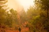 A bulldozer opens fire break during a wildfire at Kamaria village on Evia island, about 189 kilometers (114 miles) north of Athens, Greece, Tuesday, Aug. 10, 2021. Firefighters and residents battled for an eighth day against a massive fire on Greece's second-largest island as the nation endured what the prime minister described as 