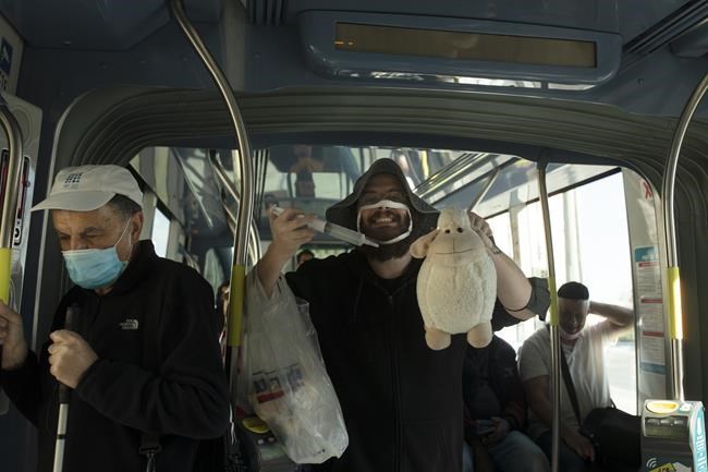 A man who opposes coronavirus vaccine mandates wears a mask altered to make a statement, poses with a toy sheep and an outsized syringe as he rides a crowded train in Jerusalem ahead of Shabbat, Friday, Nov. 26, 2021. Israel's prime minister says it is