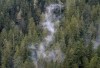 The clouds move among the old growth forest in the Fairy Creek logging area near Port Renfrew, B.C. Tuesday, Oct. 5, 2021. The government, which pledged in 2019 to plant 2 billion trees by 2030, has only planted 8.5 million trees so far, an access to information request by the Canadian Press shows. THE CANADIAN PRESS/Jonathan Hayward