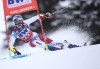 Switzerland's Marco Odermatt speeds down the course during an alpine ski, men's World Cup Giant slalom, in Adelboden, Switzerland, Saturday, Jan. 8, 2022. (AP Photo/Gabriele Facciotti)