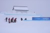 Volunteers clear the course as the start of the women's slopestyle qualification has been delayed due to a weather consition at the 2022 Winter Olympics, Sunday, Feb. 13, 2022, in Zhangjiakou, China. (AP Photo/Francisco Seco)