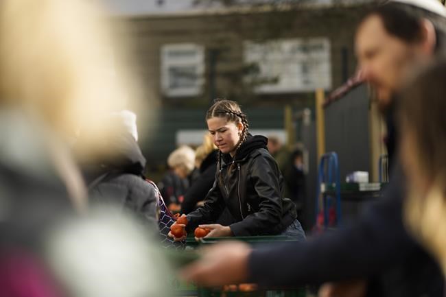 Daria, a 19-year-old refugee from Odesa, Ukraine, distributes tomatoes to needy people during preparations for the celebration of Jewish Passover at the Chabad Jewish Education Center in Berlin, Germany, Thursday, April 7, 2022. Rabbis and Jewish organizations are working round the clock within Ukraine, Eastern Europe and other parts of Europe to make sure that Jews who remain in Ukraine and refugees who have fled as far away as Israel are able to celebrate Passover. (AP Photo/Markus Schreiber)