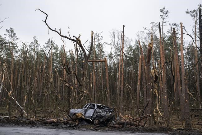 The gutted remains of a car in front of damaged trees following a battle between Russia and Ukrainian forces on the outskirts of Chernihiv, Ukraine, Friday, April 22, 2022. (AP Photo/Petros Giannakouris)