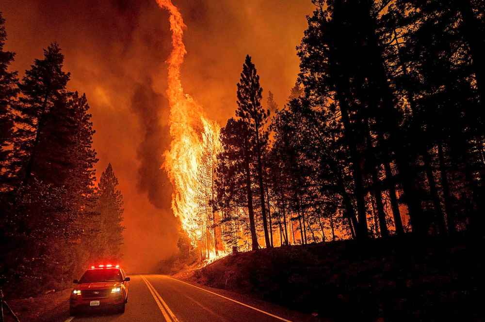 CP
Flames leap from trees as the Dixie Fire jumps Highway 89 north of Greenville in Plumas County, Calif., on Tuesday, Aug. 3, 2021. Dry and windy conditions have led to increased fire activity as firefighters battle the blaze, which ignited July 14. (AP Photo/Noah Berger)