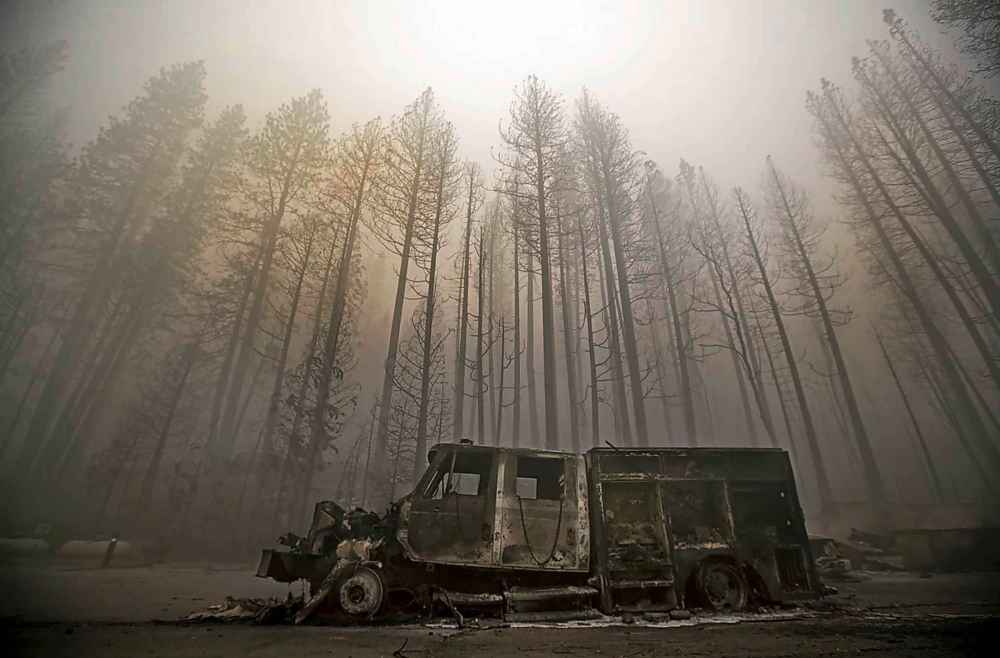 Tribune Media TNS
Burned trees rise above a truck destroyed by the Dixie Fire in the town of Greenville. (Mel Melcon/Los Angeles Times/TNS)