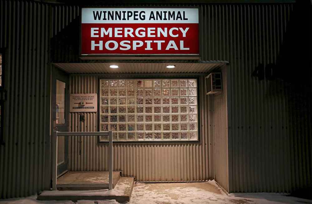 The animal hospital is open 24-hours a day, 365 days a year.
