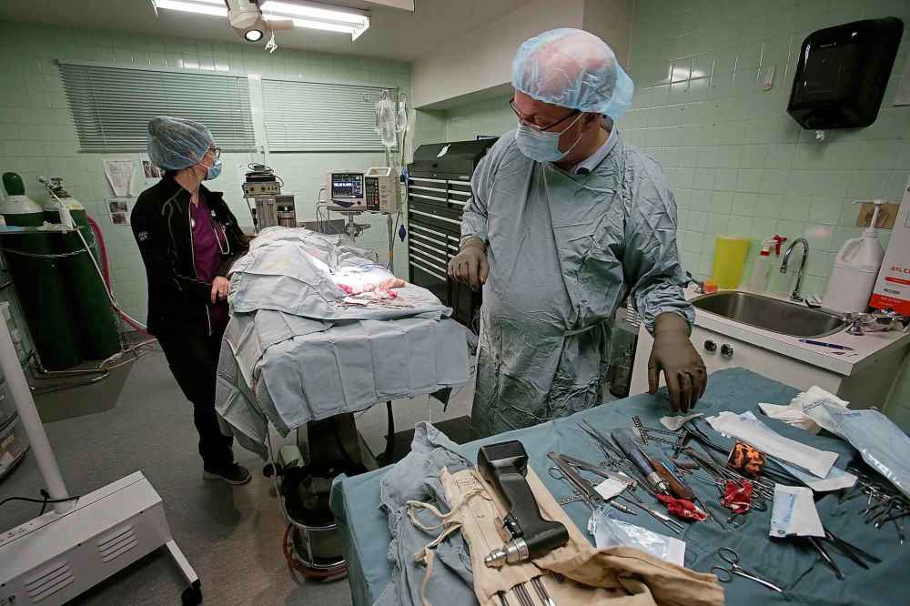 Sterile tools, including drills, clamps and screwdrivers, are laid out in an operating room.