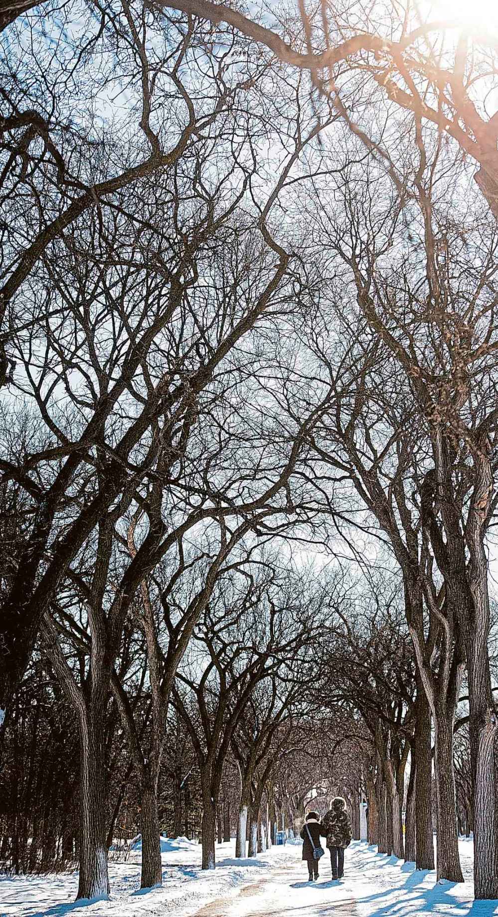 MIKE SUDOMA / WINNIPEG FREE PRESS
A couple walk arm in arm through the trees in front of the pavilion in Assiniboine Park Tuesday afternoon