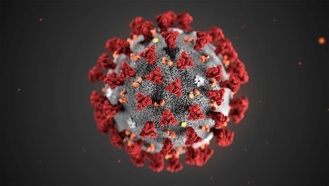 In this illustration provided by the Centers for Disease Control and Prevention (CDC) in January 2020 shows the 2019 Novel Coronavirus (2019-nCoV). Canadian medical experts say the country's already overstretched emergency rooms would find it difficult to cope if a true outbreak of the novel coronavirus, or COVID-19, were to take hold in Canada. THE CANADIAN PRESS/CDC via AP, File