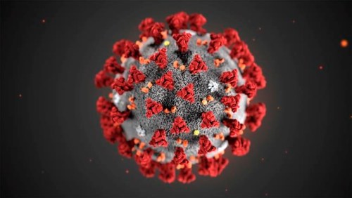 In this illustration provided by the Centers for Disease Control and Prevention (CDC) in January 2020 shows the 2019 Novel Coronavirus (2019-nCoV). China's envoy to Ottawa is offering glowing praise for Canada's help in combatting the outbreak of the novel coronavirus and is suggesting that might useful in repairing the diplomatic rift between their countries. THE CANADIAN PRESS/AP-CDC via AP, File