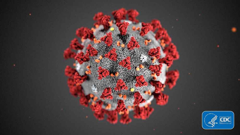The 2019 Novel Coronavirus (2019-nCoV) is seen in an illustration provided by the Centers for Disease Control and Prevention (CDC) in January 2020. Health officials hope to avoid stigma and error in naming the virus causing an international outbreak of respiratory illnesses. But some researchers say the current moniker, 2019 nCoV, which stands for 2019 novel coronavirus, probably won