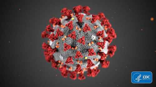 The 2019 Novel Coronavirus (2019-nCoV) is seen in an illustration provided by the Centers for Disease Control and Prevention (CDC) in January 2020. Health officials hope to avoid stigma and error in naming the virus causing an international outbreak of respiratory illnesses. But some researchers say the current moniker, 2019 nCoV, which stands for 2019 novel coronavirus, probably won't stick in the public's mind. (CDC via AP, File)