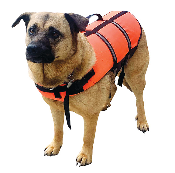 JOCELYN MARTIN
Demi doesn’t mind wearing a life jacket.