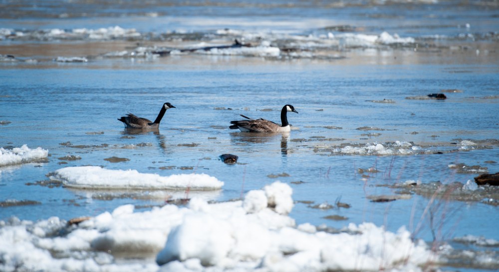 It’s one of the largest outflows of sewage in recent years, but it represented only about five per cent of the record-high flow volume dealt with by the city’s three wastewater treatment plants during the rainstorm, city officials say. (Mike Sudoma / Winnipeg Free Press files)