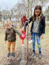 Kamila Konieczny photo
Less than 10,000 trees have been planted over the last year as part of Winnipeg’s Million Tree Challenge.