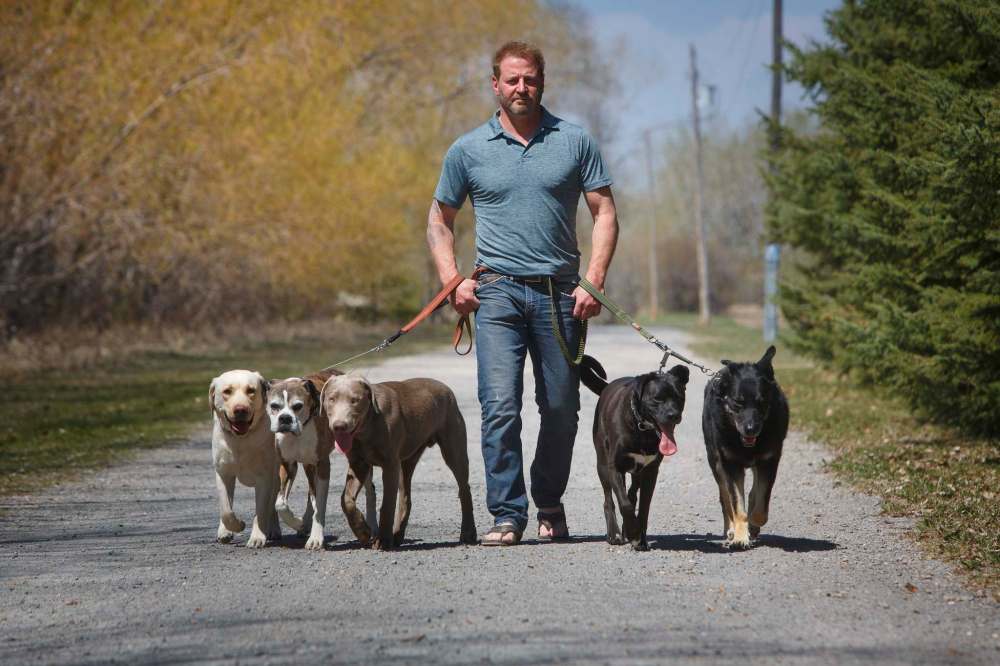 MIKE DEAL / WINNIPEG FREE PRESS
Yury Harczan has been training service dogs for MSAR Service Dogs since 2015 and has worked with more than 2,000 domestic dogs.