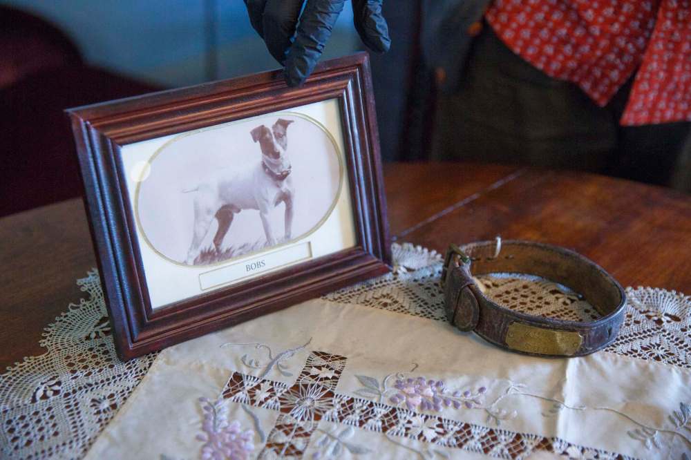 A rare photo of the Inkster family dog, Bobs, as well as his collar with engraved name plate. (Mike Deal / Winnipeg Free Press)