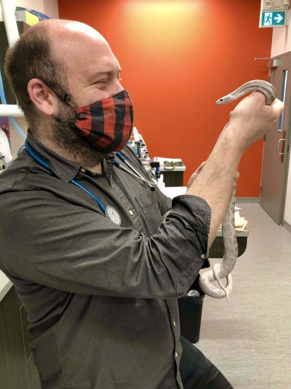 Dr. Jonas Watson holds the found snake at the Grant Park Animal Hospital. (Supplied)