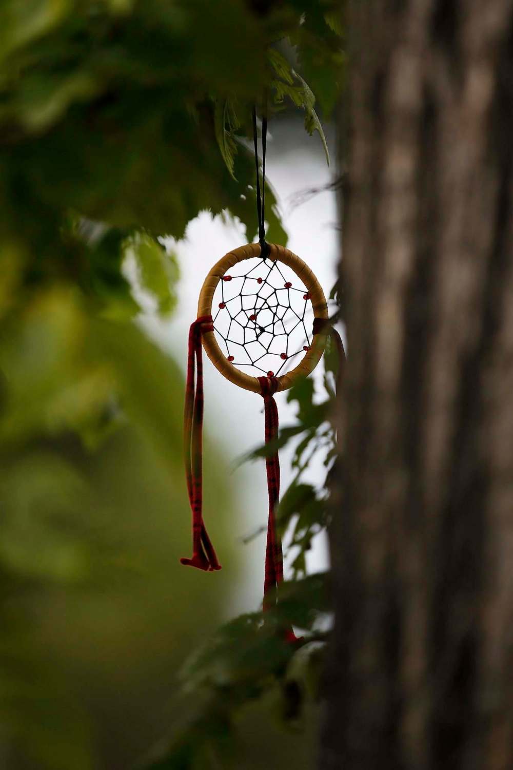 JOHN WOODS / WINNIPEG FREE PRESS
A memorial for Boulanger is set up beside a tree in the 200 block of Burrows Avenue.