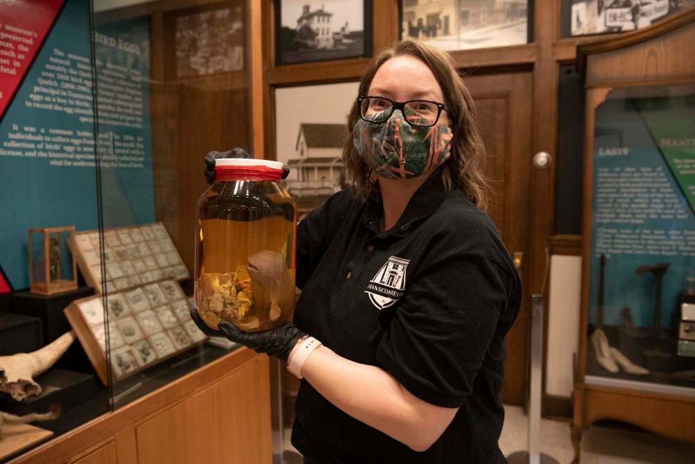 Curator Alanna Horejda holds one of the museum’s oddities — a 30-centimetre-long beluga fetus floating in a jar of preservative. (Alex Lupul / WInnipeg Free Press)