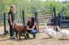 Macyn Comeault (left) and Lucy Sloan hang out with the animals at Lil’ Steps Wellness Farm in St. Malo. Sloan has been practicing animal-assisted therapy on her farm since 2015. (Mikaela MacKenzie / Winnipeg Free Press)