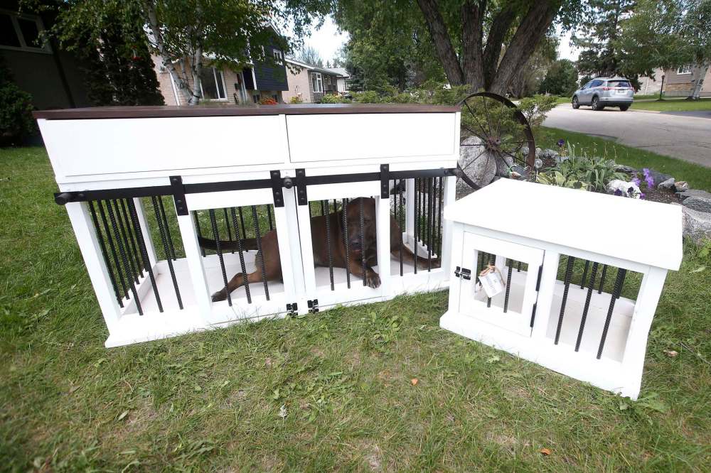 photos by JOHN WOODS / WINNIPEG FREE PRESS
Callie, the Proutts’ Labrador-English bulldog mix, demonstrates the roominess of her M+K Wood Co. custom-crafted kennel.