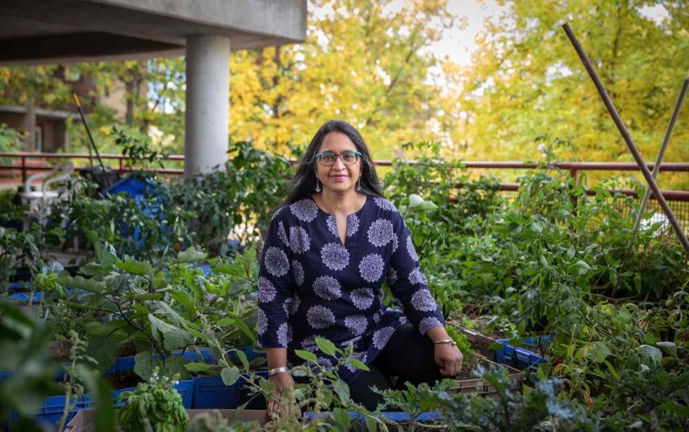 Denetto in the garden used by residents of IRCOM’s building on Ellen Street. (Jessica Lee / Winnipeg Free Press)