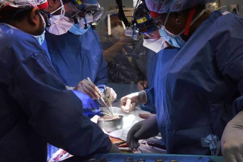 (Mark Teske/University of Maryland School of Medicine via AP)