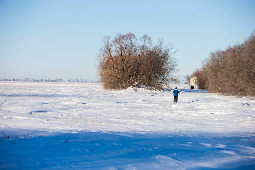 MIKAELA MACKENZIE / WINNIPEG FREE PRESS
A cross-country skier braves the cold and wind in a field east outside of Emerson, MB on Thursday. Two adults, one teenager, and one infant were found dead in the area.